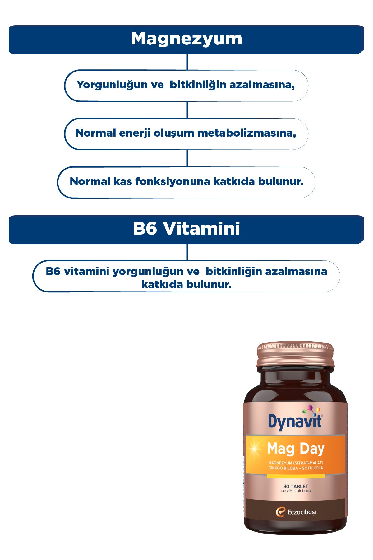 Dynavit Mag Day 30 Tablet