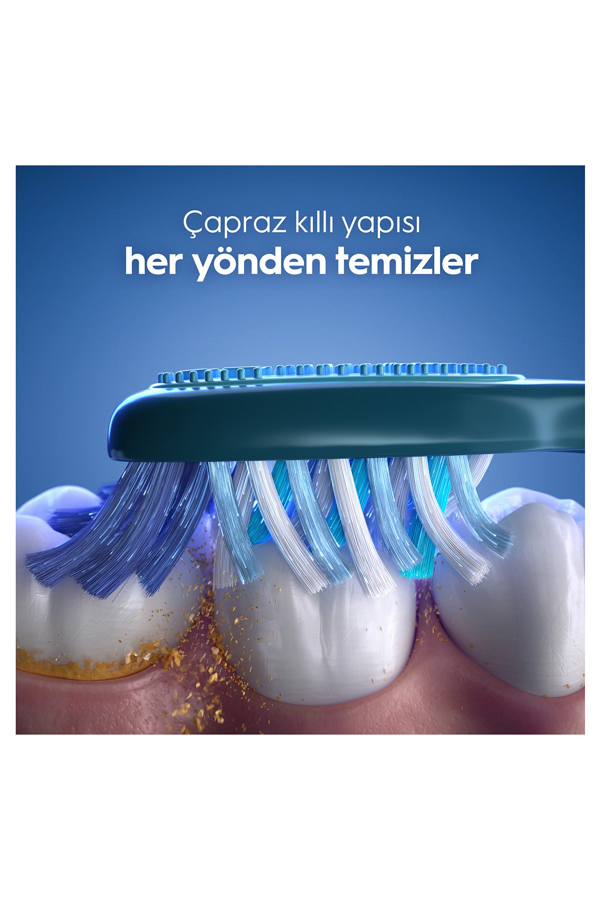 Oralb Fırça Advderın Tem Ort 2L