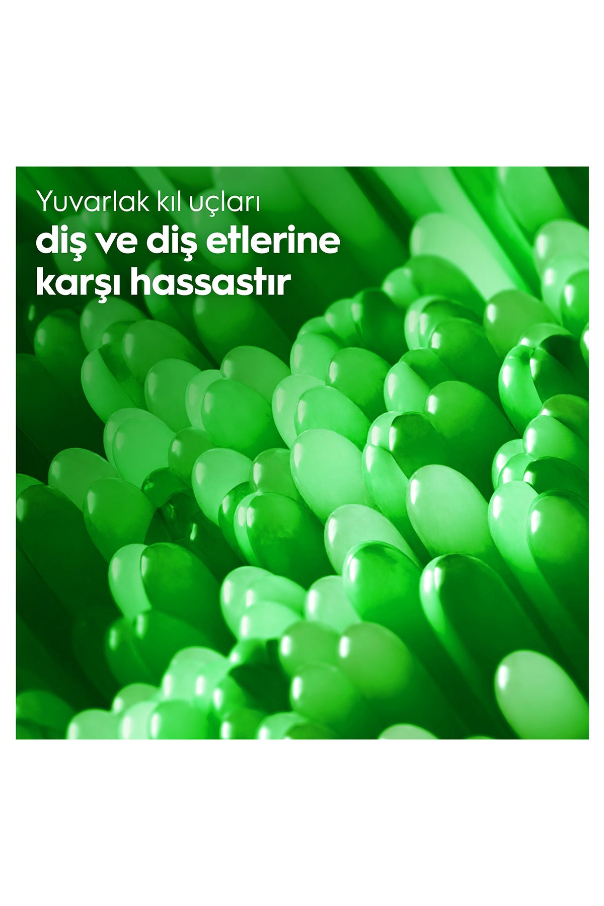 ORALB FIRCA PRODERIN TEMIZ ORTA