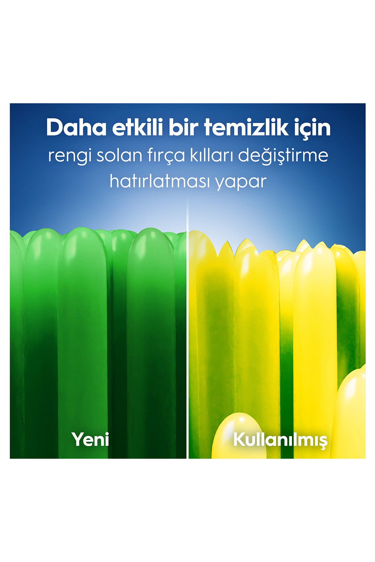 ORALB FIRCA PRODERN TEM ORT 2LI