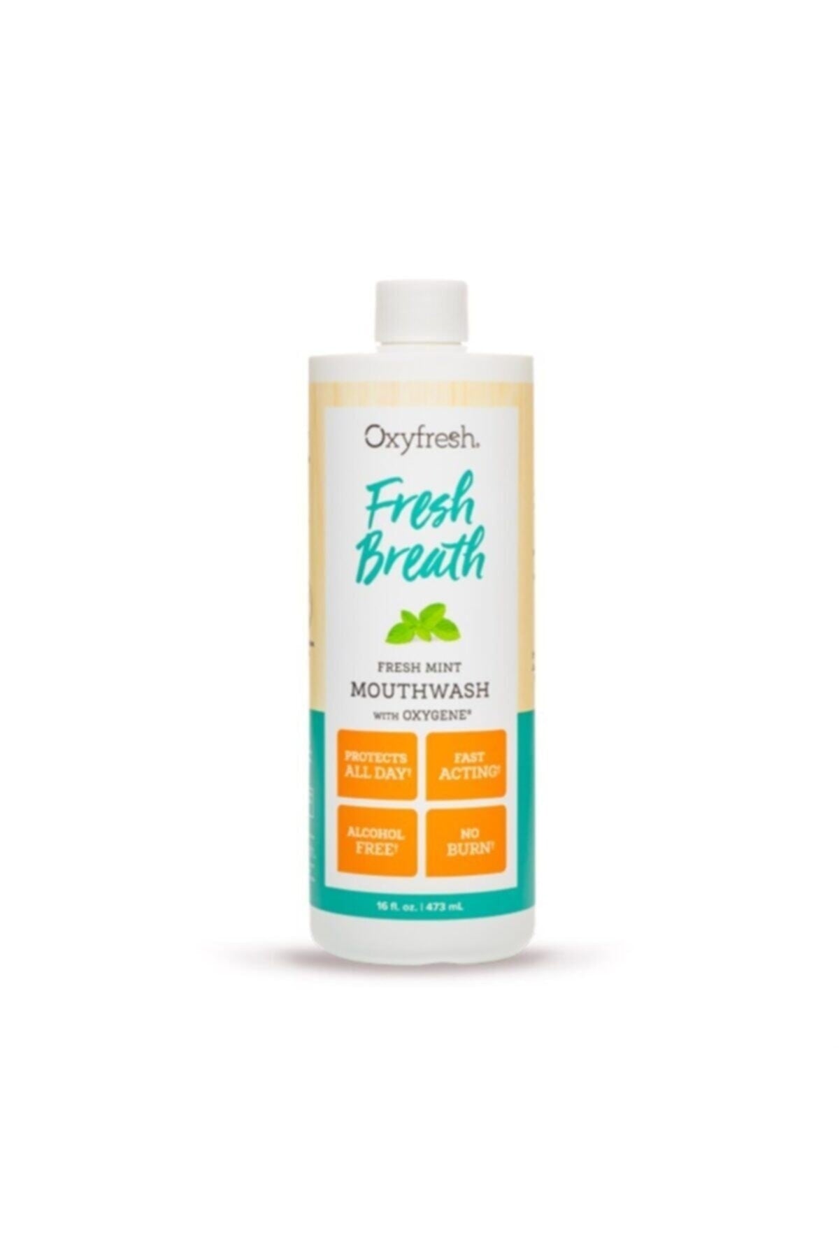 Oxyfresh Florürsüz Naneli Ağız Bakım Suyu 473 ml