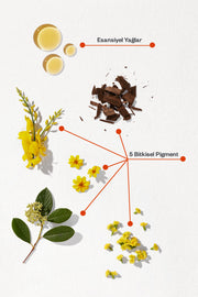 Phyto Color Brown 4