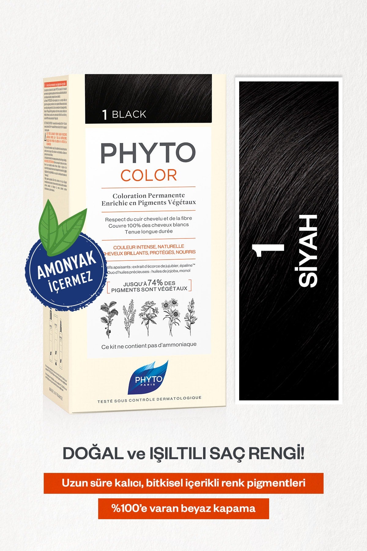 Phyto Color Noir 1