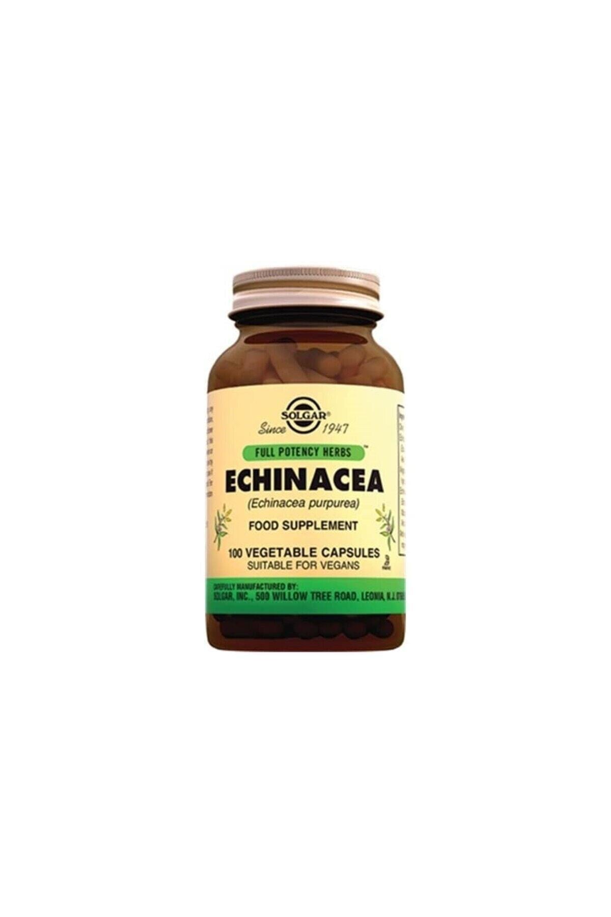 Solgar Echinacea 520 mg 100 Kapsül